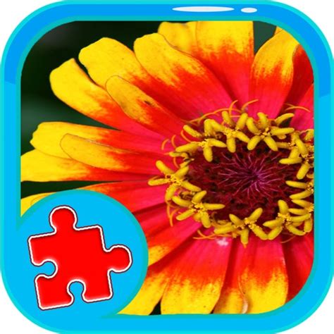 Puzzle Learning Flower Games Edition By Thana Chamnarnchanarn