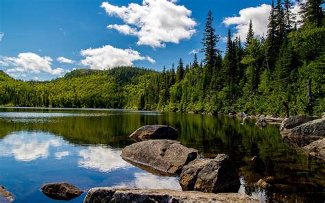 Fondos De Pantalla Canadá Soleado Lago Árboles Piedras Cielo Azul