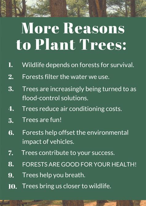 The Benefits Of Tree Planting The Woodlands Township Environmental