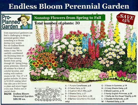 Good Plants To Plant In The Fall at Wayne Wilson blog