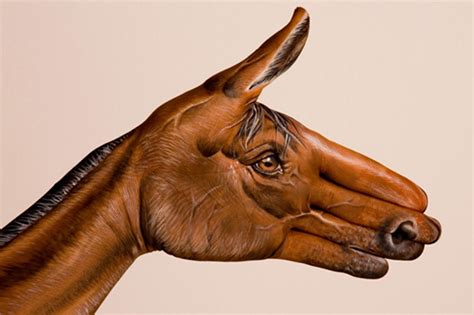 Horse Hand Optical Illusion