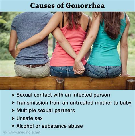 gonorrhea life cycle