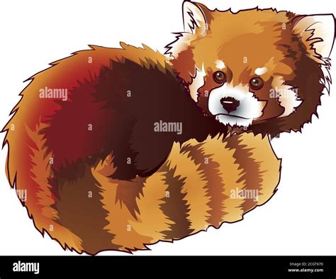 Ilustración Vectorial Del Estilo De Dibujos Animados Panda Rojos