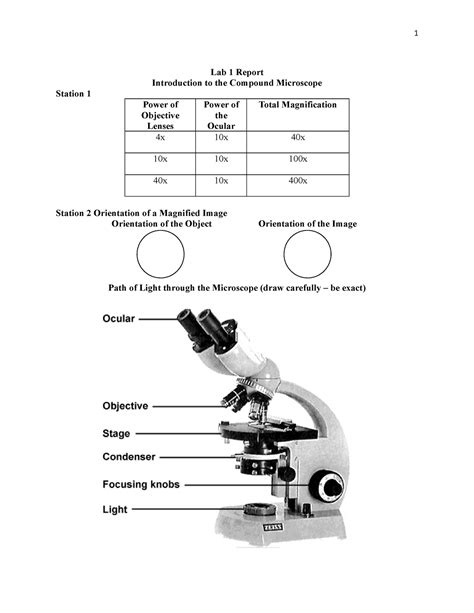 Microscope Lab Report 1 Lab 1 Report Introduction To The Compound