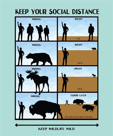The National Parks New Social Distancing Posters Are Hilarious