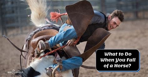 What To Do After Falling Off A Horse Safety Tips To Know