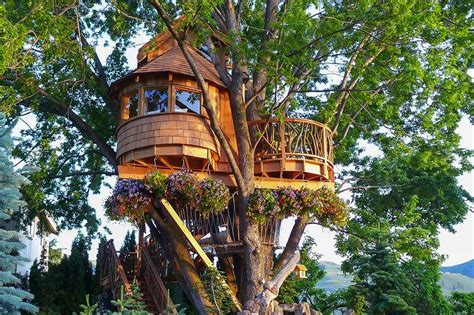 Amazing Treehouses You Ll Want To Call Home