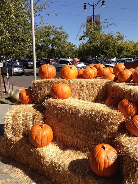 Whole foods is the leading retailer of natural and organic foods uniquely positioned as america's healthiest grocery…. Pumpkin patch in front of Whole Foods at Fountains ...