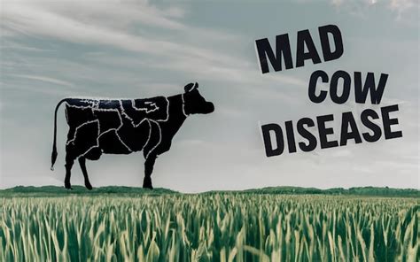 Premium Ai Image Mad Cow Disease