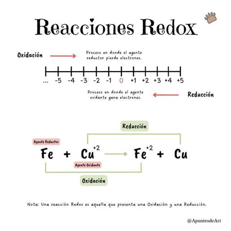 Reacciones Redox Apuntesdeari Udocz