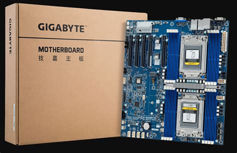 Gigabyte Announces Its First Dual Socket Amd Epyc Motherboard Mz Hb Newlaunches