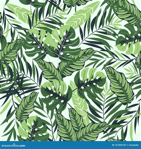 Tropical Leaves Palm And Monstera Seamless Vector Pattern Stock