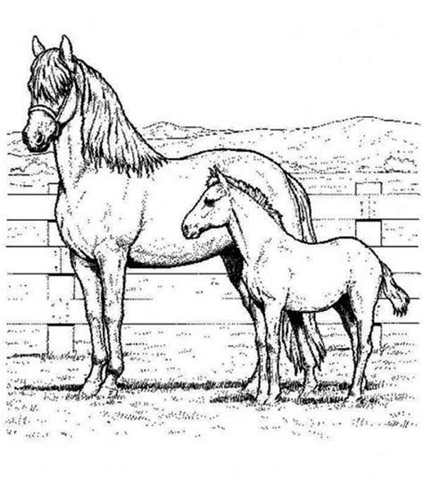 Some tips for printing these coloring pages: 1410 best images about Horse Coloring Pages on Pinterest ...