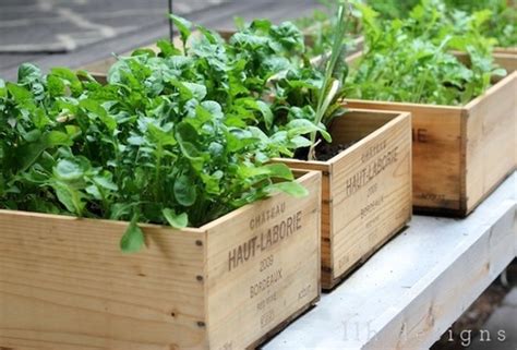 Jardinière de légumes à la crème. Récup' : Caisses de vin