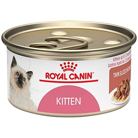 54 Top Pictures 5 Month Old Cat Food How Much To Feed A Kitten