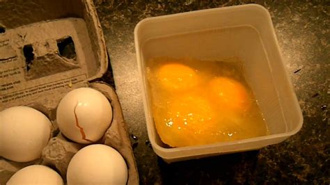 Can You Freeze An Egg How Do Frozen Eggs Taste After Theyre Thawed Part Ii Youtube