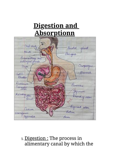 SOLUTION Digestion And Absorption Revised Notes Studypool