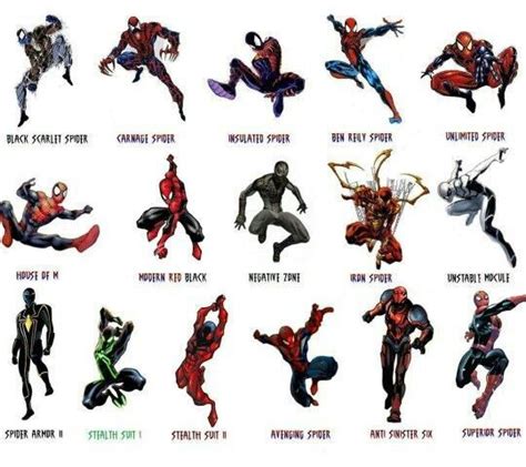 The Variations Of Spider Man Cartoon Amino