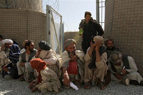 coalition routs taliban in southern afghanistan the new york times