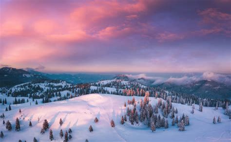 1932500 Winter Sky Stock Photos Pictures And Royalty Free Images Istock