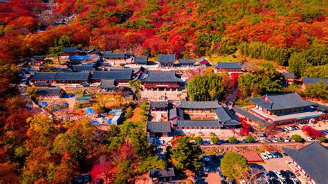 Aerial View Of Beomeosa Temple In Busan South Koreaimage Consists Of