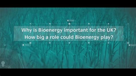 Bioenergy Insight Why Is Bioenergy Important For The Uk Youtube