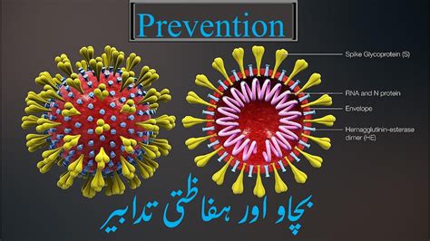 Coronavirus How To Protect Yourself And Others Youtube