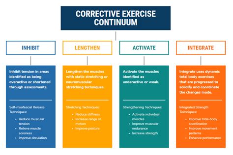 A Guide To Nasms Corrective Exercise Continuum Cex 2022
