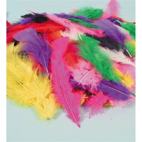 Assorted Craft Feathers Art And Craft From Early Years Resources Uk