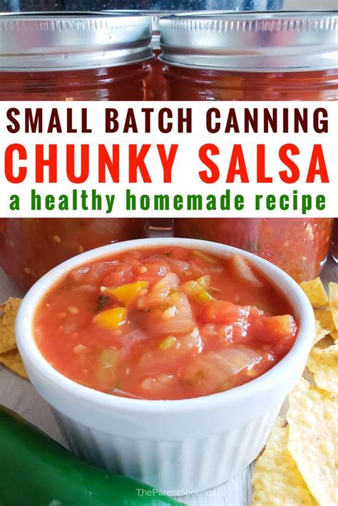 This salsa is made with a tomato base. Homemade Chunky Salsa Recipe for Canning That's Farm Fresh ...