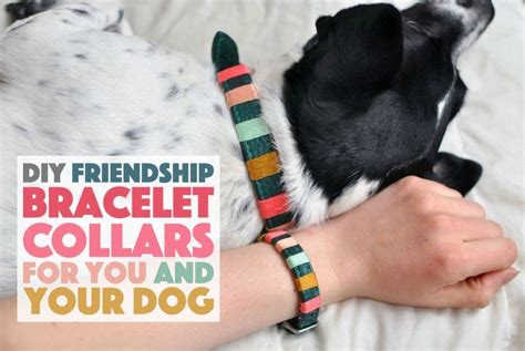 Diy Friendship Bracelet Collars For You And Your Dog The Broke Dog