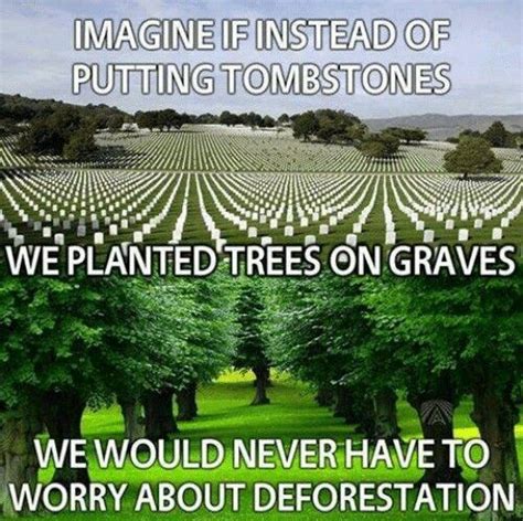 Pin By Lady Vodka717 On Its All About The Reality101 Trees To