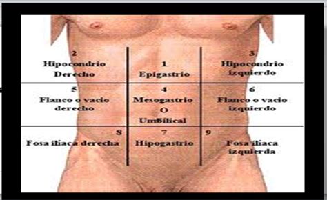 MIC medicina integral comunitaria cuadrantes y división del abdomen