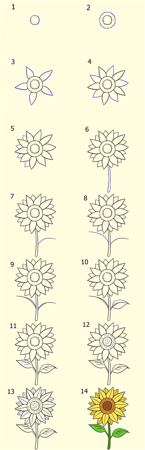 Cara Membuat Gambar Bunga Yang Mudah