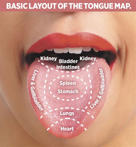 Tongue Diagnosis Map