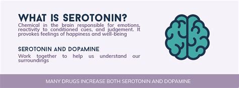 Serotonin In Addiction And Withdrawal Addiction Treatment