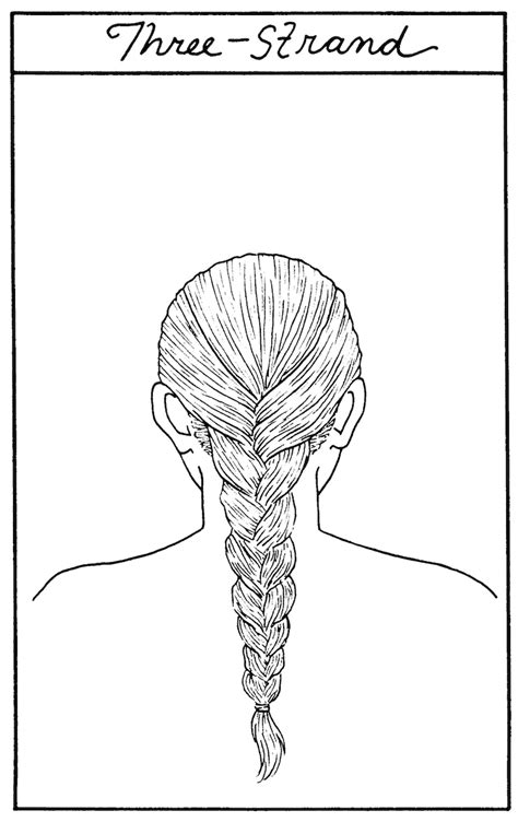 Learn How To Draw Three Types Of Braids Step By Step