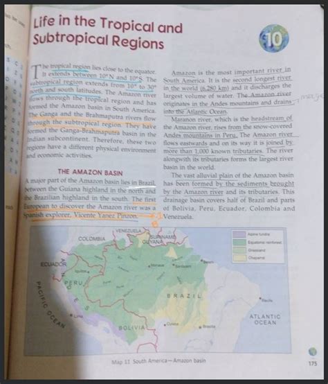 Life In The Tropical And Subtropical Regions The Tropical Region Lies Clo