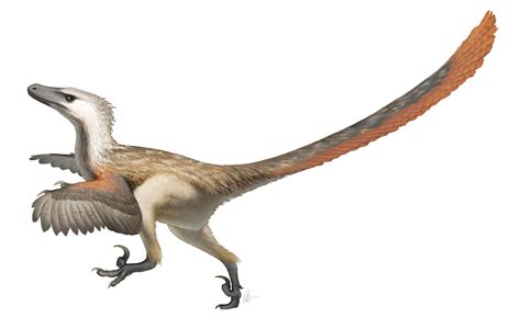 Velociraptor Feathers Jurassic Park