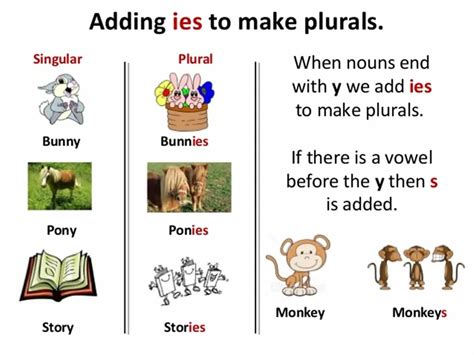 Singular And Plural Nouns Definitions Rules And Examples Eslbuzz