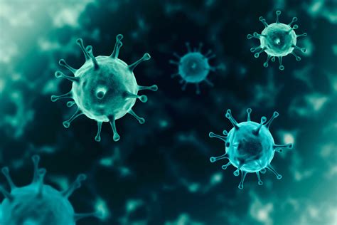 What Is The Difference Between Bacteria And Viruses 2023