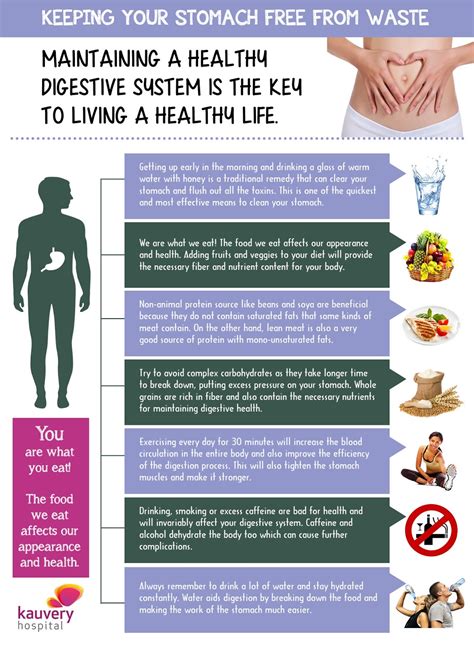 How To Maintain A Healthy Digestive System Infographic