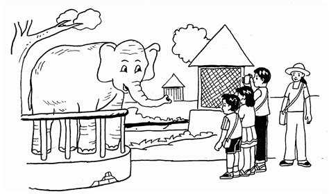 Gambar Mewarnai Kebun Binatang Animasi Imagesee