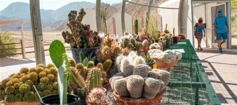 The Living Desert Zoo And Gardens Opens New Desert Plant Conservation