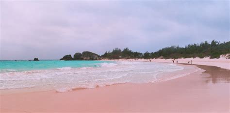The Most Beautiful Pink Sand Beaches In The World Purewow