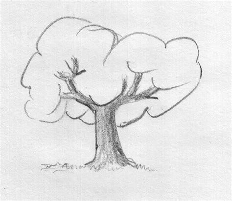 How to draw landscapes, trees, grass, foliage, water, with graphite pencils and graphite powder. GuruBlog