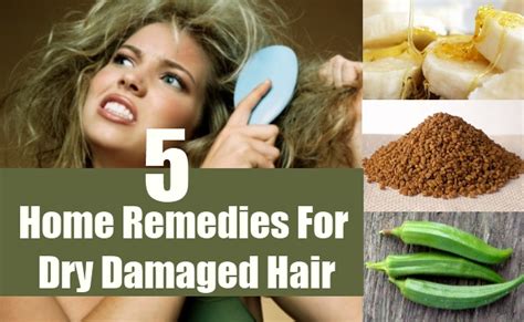 Avoid chemical hair dyes, permanent colorings, electric curling irons. 5 Dry Damaged Hair Home Remedies, Natural Treatments And ...
