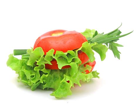 Tomato Vegetable And Lettuce Stock Photo Image Of Isolated Growing
