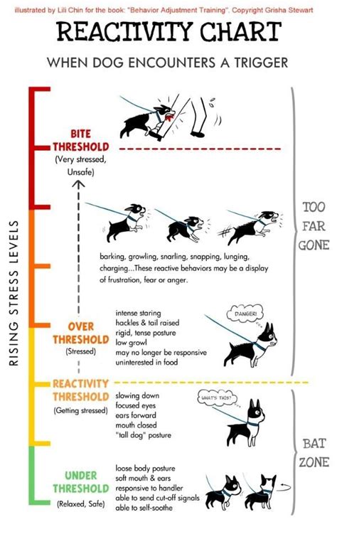 Look at the bar chart, exam question and sample answer and do the exercises to improve your writing skills. Dog reactivity chart | Dog training theory, tips, articles ...