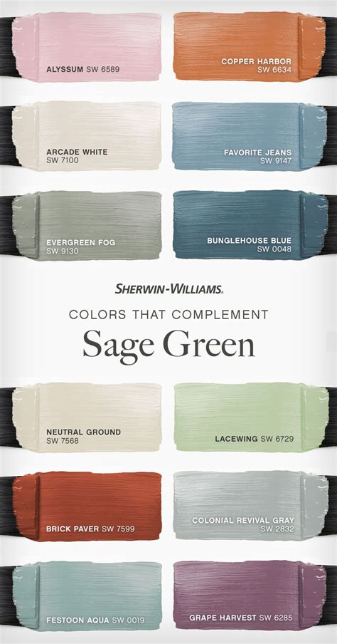 Sage Green Complementary Color Palette House Color Palettes Paint